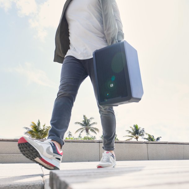 LD Systems ANNY� 8 BPH B8